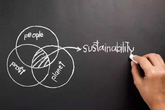 sustainable businesses